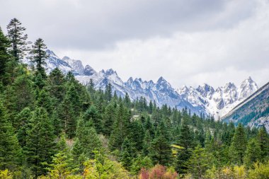 Doğu Tibet, Sichuan, Çin 'deki Kampo Nenang dağına gidiyor.