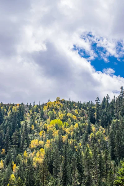 Natuur Van Kampo Nenang Berg Oost Tibet Sichuan China — Stockfoto