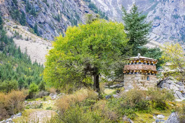 Kampo Nenang Hora Východním Tibetu Sichuan Čína — Stock fotografie