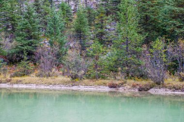 Doğu Tibet, Sichuan, Çin 'deki Kampo Nenang dağına gidiyor.