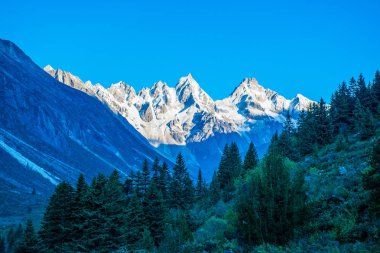Doğu Tibet, Sichuan, Çin 'deki Kampo Nenang dağına gidiyor.