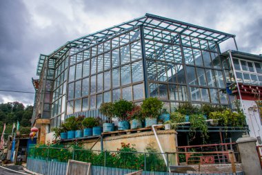 Doğu Tibet 'teki Kawa Karpo dağına seyahat, Yunnan, Çin