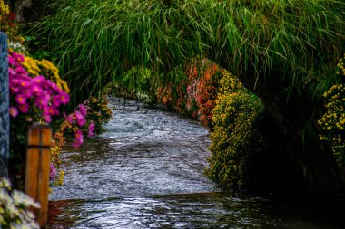 Lijiang ilinin doğal manzarası, Yunnan, Çin