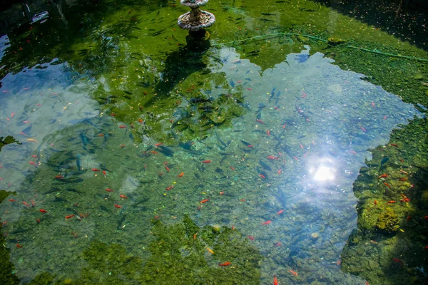 Schilderachtig Uitzicht Lijiang Prefectuur Natuur Yunnan China — Stockfoto