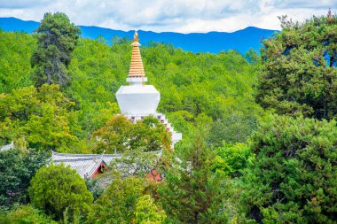 Lijiang bölgesinden Yunnan, Çin
