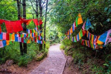 Lijiang bölgesinden Yunnan, Çin