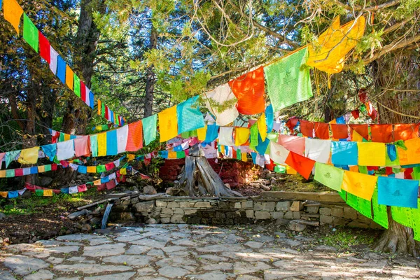 Тибетская Деревня Традиционными Каменными Домами Вокруг Тибетского Монастыря Падма Друкпа — стоковое фото