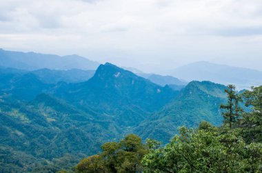 Qing Cheng Shan dağının manzarası, Sichuan
