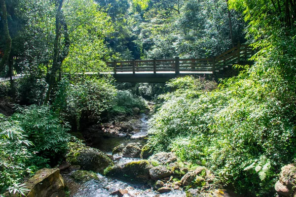 Utazás Qing Cheng Shan Hegyre Szecsuán — Stock Fotó