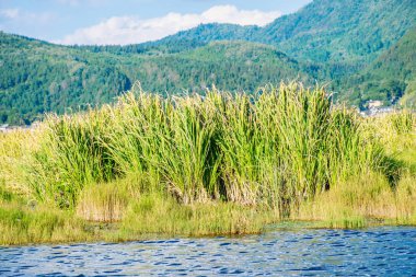 Tengchong ilçesinin gündüz manzarası, Yunnan.  