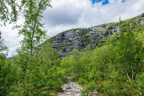 Pohled Horu Kebnekaise Dne Švédsko — Stock fotografie