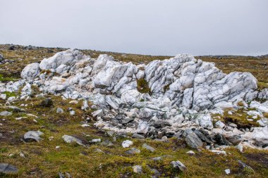 Nordkapp 'ın gündüz manzarası, Finnmark, Norveç 