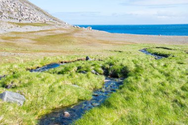 Nordkapp 'ın gündüz manzarası, Finnmark, Norveç 