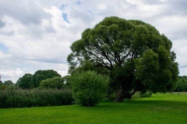 Riga şehri gündüz gezisi, Letonya 