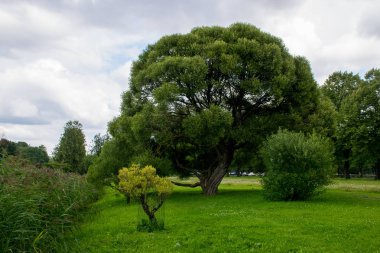 Riga şehri gündüz gezisi, Letonya 