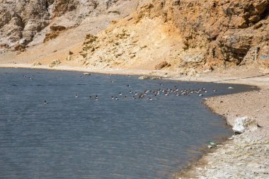 Mavi gökyüzü altında Tibet'in kutsal dağlarında kutsal Manasarovar gölü çevresinde alan. Batı Tibet'te Ngari sahne. Buda öğrencileri için kutsal bir yer. Dua yeri, sakin ve meditasyon