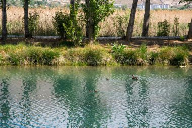 Lhasa, Tibet, Çin 'in güzel doğası.