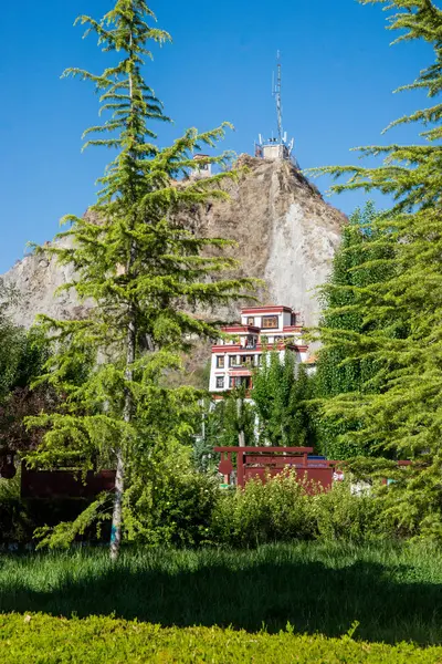 Lhasa Tibet China Mayo 2019 Palacio Potala Residencia Principal Del —  Fotos de Stock