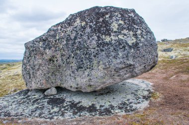 Murmansk, Rusya 'daki Teriberka köyü yakınlarındaki deniz kıyısındaki kayalıkları kapatın.