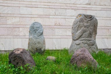 Altyn Emel Ulusal Parkı, Almaty Bölgesi, Kazakistan 