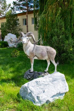 Altyn Emel Milli Parkı, Almaty Bölgesi, Kazakistan 