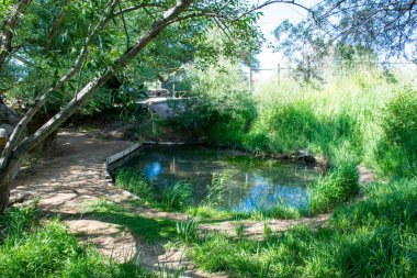 Altyn Emel Milli Parkı, Almaty Bölgesi, Kazakistan 