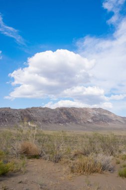Altyn Emel Milli Parkı, Almaty Bölgesi, Kazakistan 