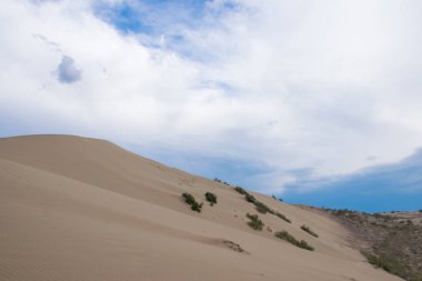 Altyn Emel Milli Parkı, Almaty Bölgesi, Kazakistan 
