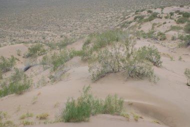 Altyn Emel Milli Parkı, Almaty Bölgesi, Kazakistan 
