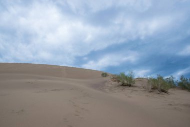 Altyn Emel Milli Parkı, Almaty Bölgesi, Kazakistan 