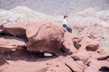 Altyn Emel Ulusal Parkı, Almaty Bölgesi, Kazakistan 