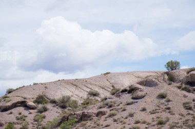 Altyn Emel Milli Parkı, Almaty Bölgesi, Kazakistan 