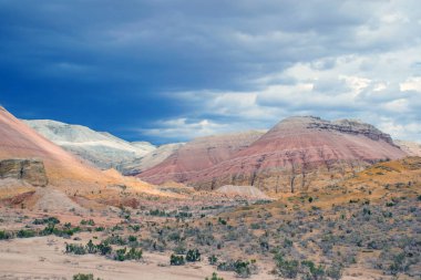 Altyn Emel Milli Parkı, Almaty Bölgesi, Kazakistan 