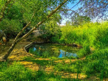 Altyn Emel Milli Parkı, Almaty Bölgesi, Kazakistan 