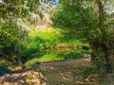 Altyn Emel Milli Parkı, Almaty Bölgesi, Kazakistan 