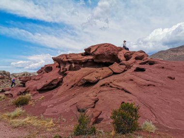 Altyn Emel Milli Parkı, Almaty Bölgesi, Kazakistan 