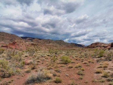 Altyn Emel Milli Parkı, Almaty Bölgesi, Kazakistan 