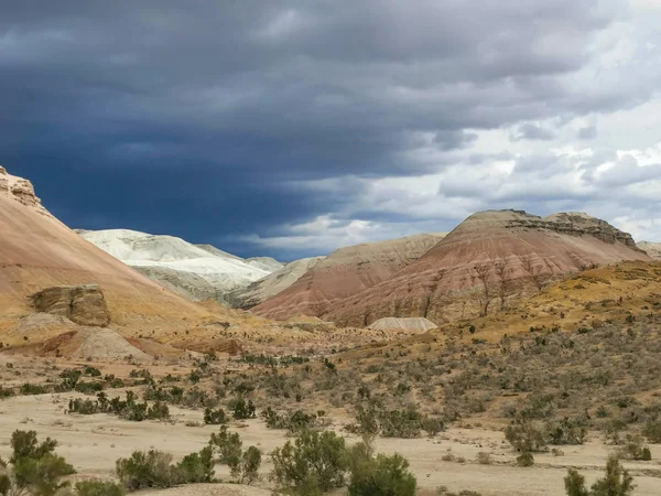 Passeggiata Nel Parco Nazionale Altyn Emel Zona Almaty Kazakistan — Foto Stock