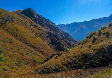 Almaty, Tian-Shan, Alatau, Kazakistan yakınlarındaki dağların manzarası   