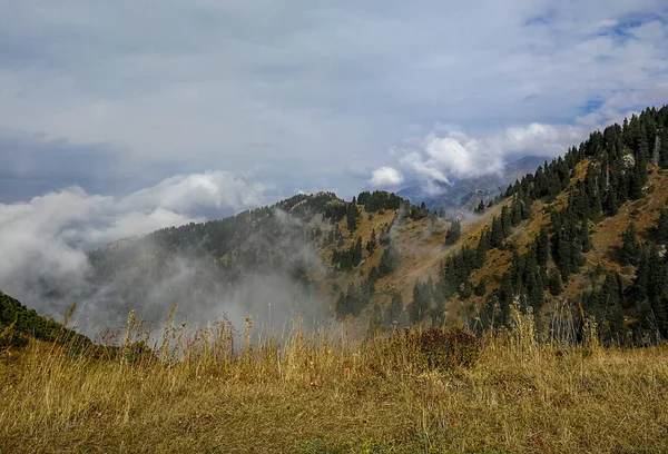 Vista Sulle Montagne Vicino Almaty Tian Shan Alatau Kazakistan — Foto Stock