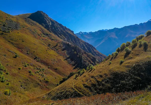 Pohled Hory Blízkosti Almaty Tian Shan Alatau Kazachstán — Stock fotografie