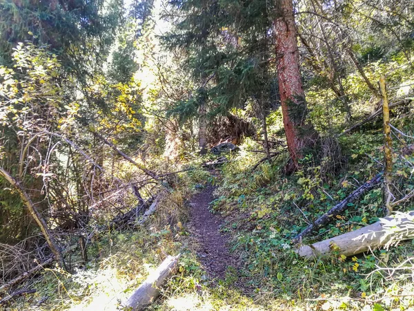 Uitzicht Bergen Buurt Van Almaty Tian Shan Alatau Kazachstan — Stockfoto