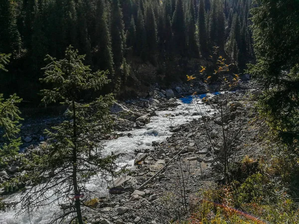 Kilátás Hegyek Közelében Almaty Tian Shan Alatau Kazahsztán — Stock Fotó