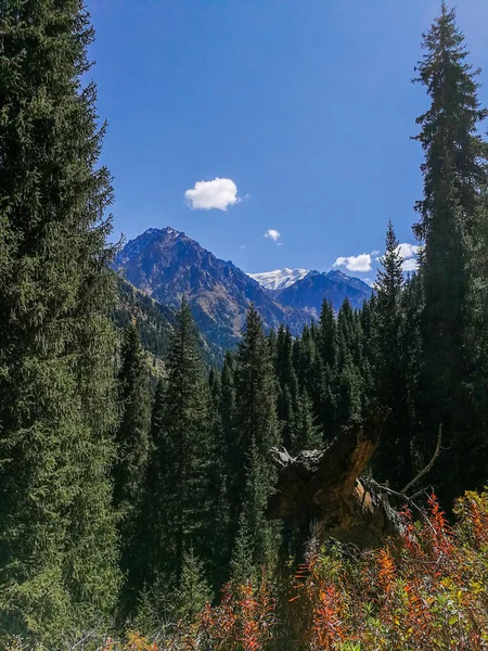 哈萨克斯坦阿拉托 阿拉木图附近的山脉景观 — 图库照片