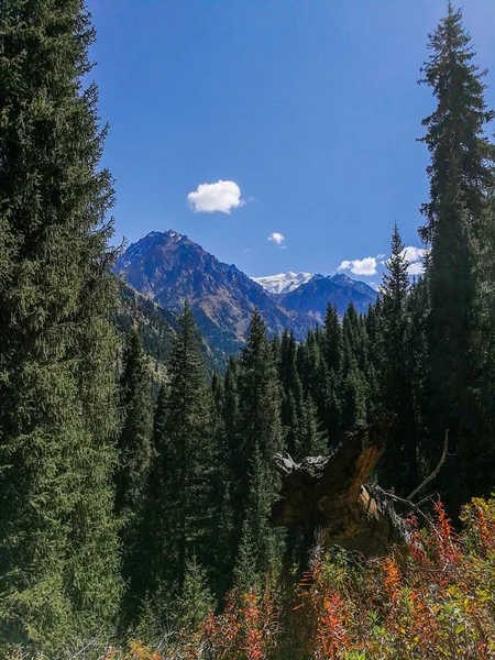 Blick Auf Die Berge Bei Almaty Tian Shan Alatau Kasachstan — Stockfoto