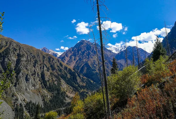 Vista Das Montanhas Perto Almaty Tian Shan Alatau Cazaquistão — Fotografia de Stock