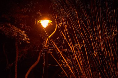 Hong Kong şehri turu, Çin 