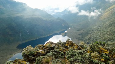 Ruwenzori bölgesinin manzarası, Uganda 