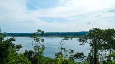 Ruwenzori bölgesinin manzarası, Uganda 