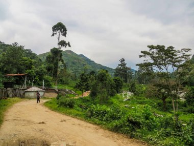 Gündüz vakti Ruwenzori 'den gelen Uganda 